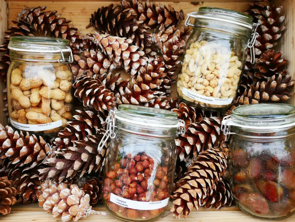 What are the Best Glass Jars for Pantry Storage?