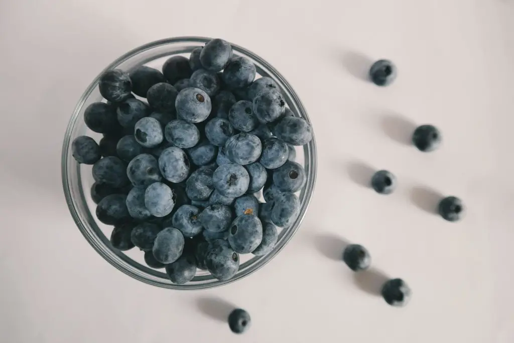 Blueberry Preserves Canning Recipe