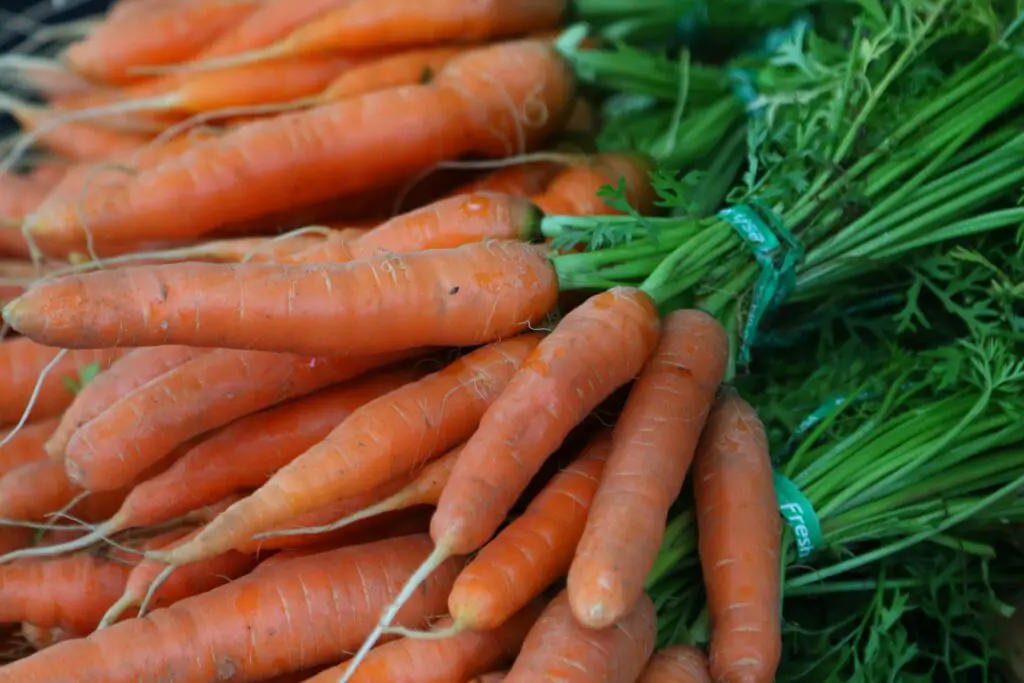 Are Carrots Low Carb?