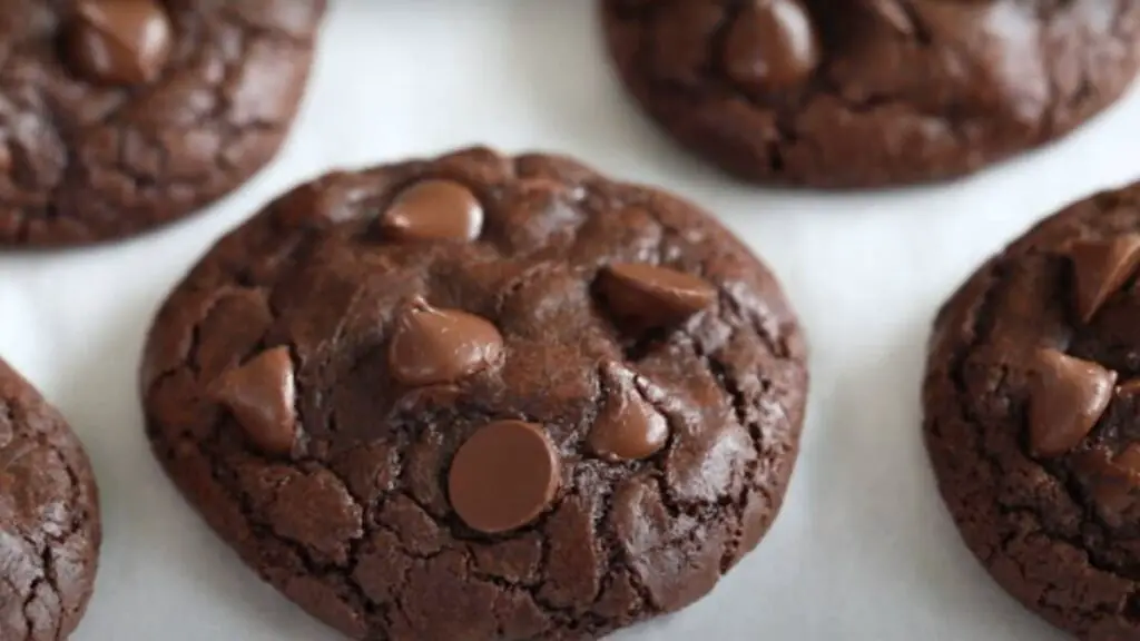 Double Chocolate Cranberry Cookies Recipe