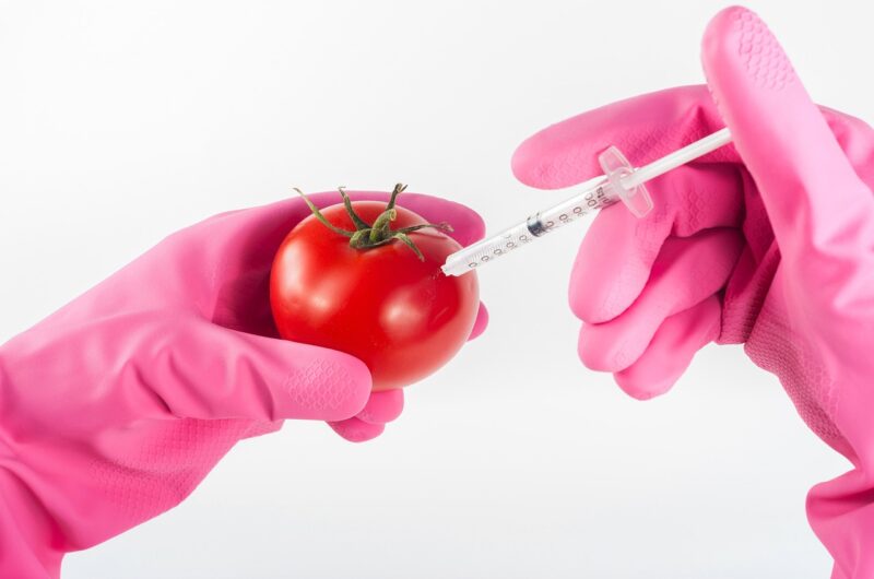 How to Avoid Genetically Modified Foods
