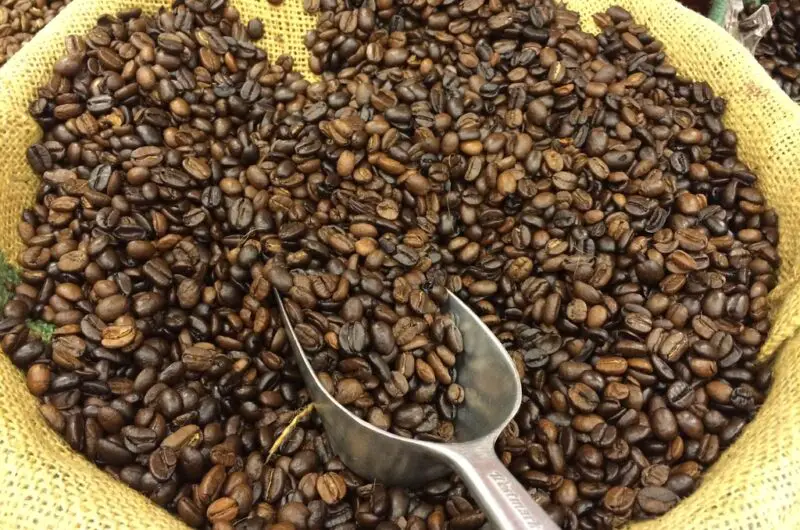 best coffee scoops