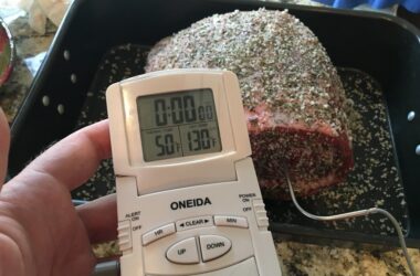 Best Digital Meat Thermometer for Smoker