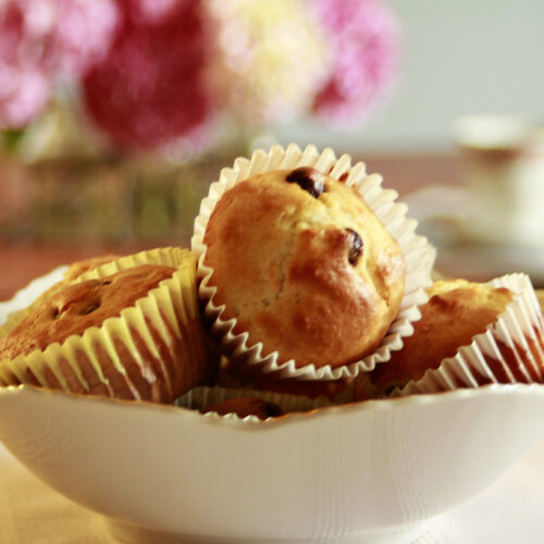 Chocolate Chip Muffin Recipes