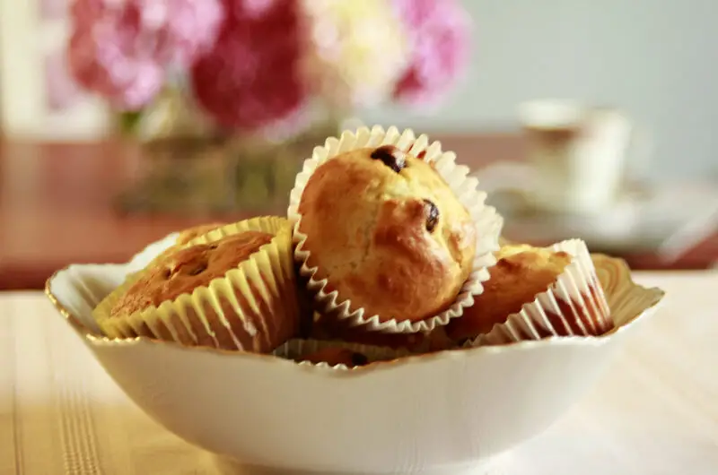 Chocolate Chip Muffin Recipes