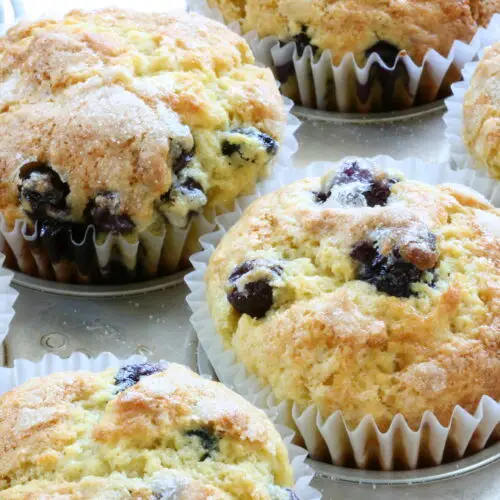 Blueberry Muffin Recipe
