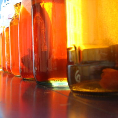 The Health Benefits of Kombucha