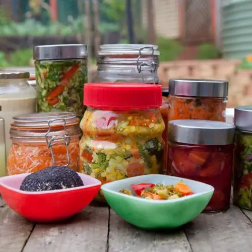 Fermented Food Recipes