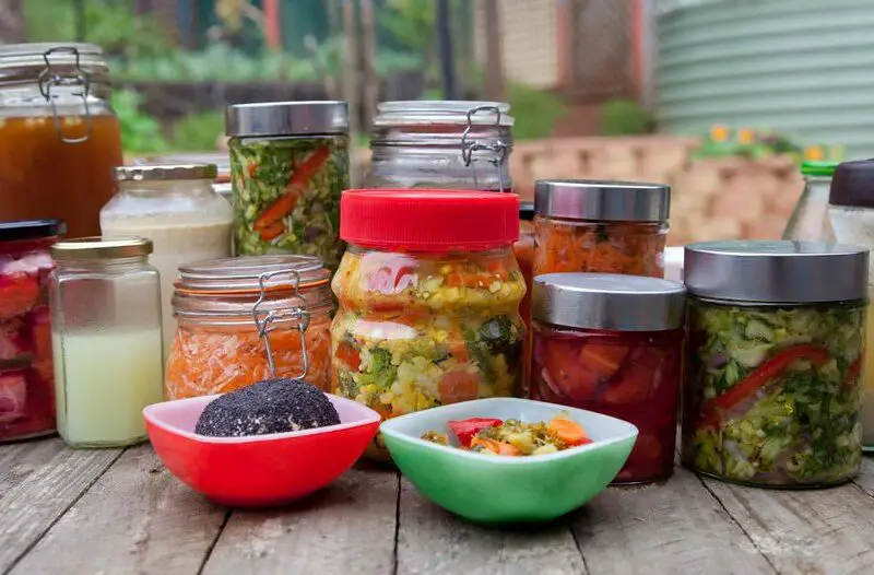 Fermented Food Recipes