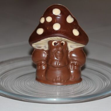 Mushroom Chocolate Recipe