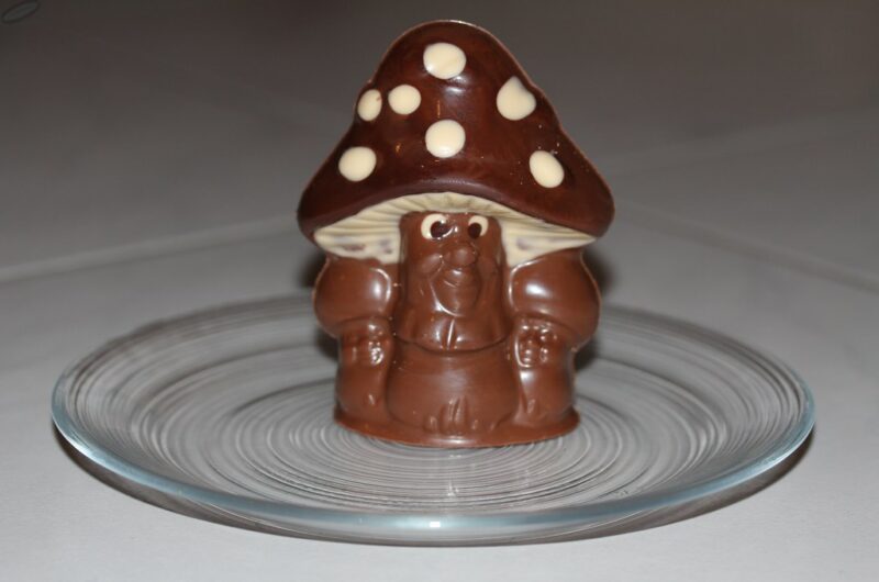 Mushroom Chocolate Recipe