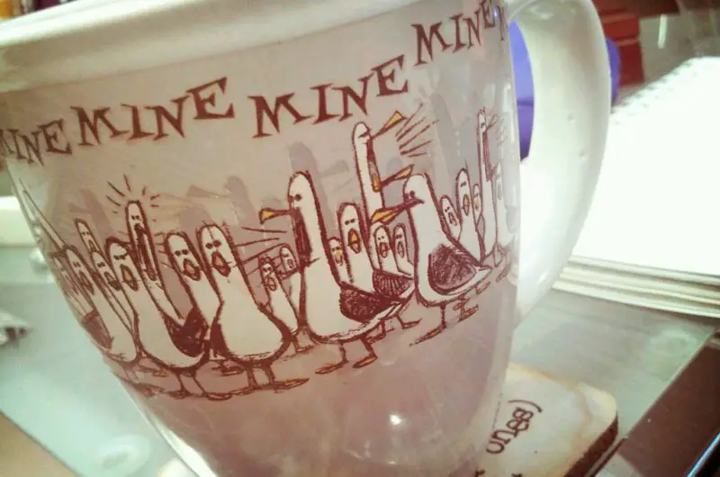 The Best Coffee Shop in Greenville, SC