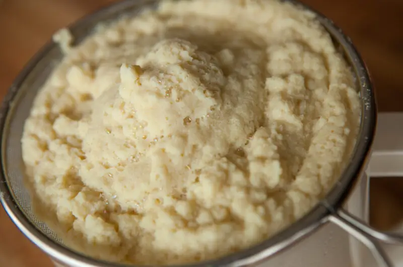 Tofu Dreg Recipe