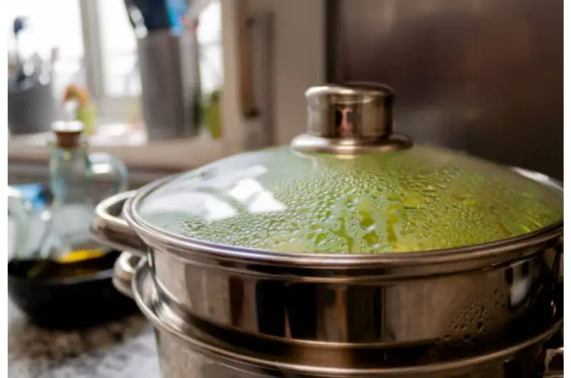 Best Steamer for Vegetables