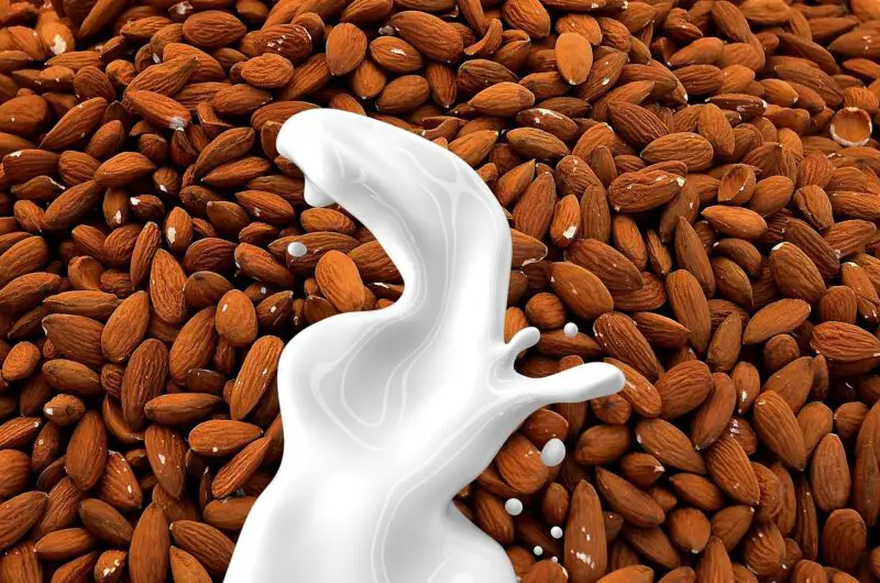 How to Make Your Own Nut Milk (Almond, Oat, Cashew)