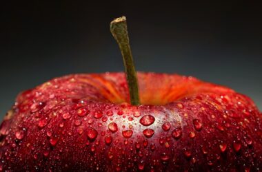 Diabetic Renal Diet Meal Plan