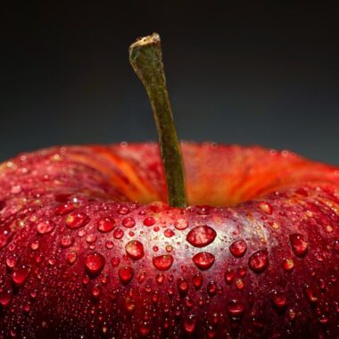 Diabetic Renal Diet Meal Plan