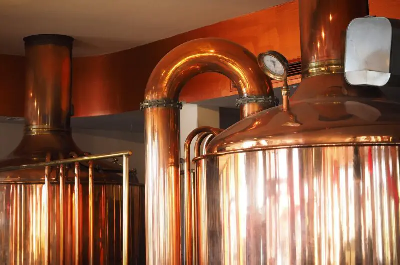 How to Brew Kombucha
