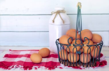 How to Collect Chicken Eggs