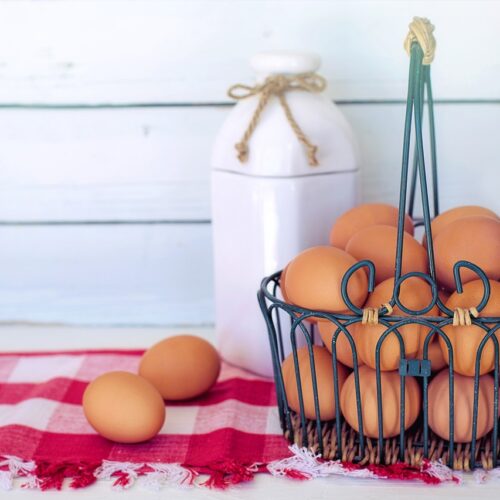 How to Collect Chicken Eggs