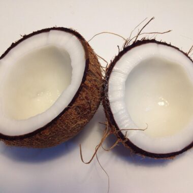 Is a Coconut a Fruit Or a Vegetable?