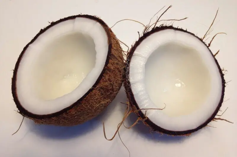 Is a Coconut a Fruit Or a Vegetable?