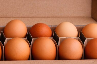How to Keep Chickens from Eating Their Own Eggs