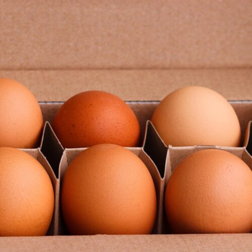 How to Keep Chickens from Eating Their Own Eggs