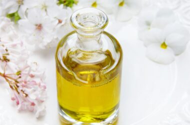 What Are Seed Oils?
