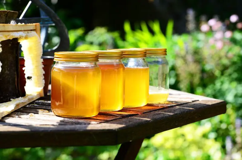 How Many Pints Are in a Gallon of Honey?