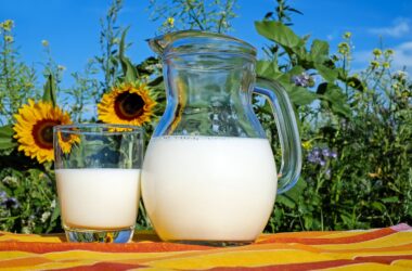 How Many Pints Are in a Gallon of Milk?