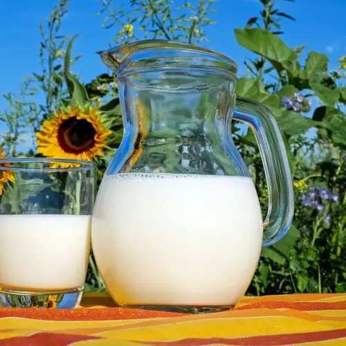 How Many Pints Are in a Gallon of Milk?