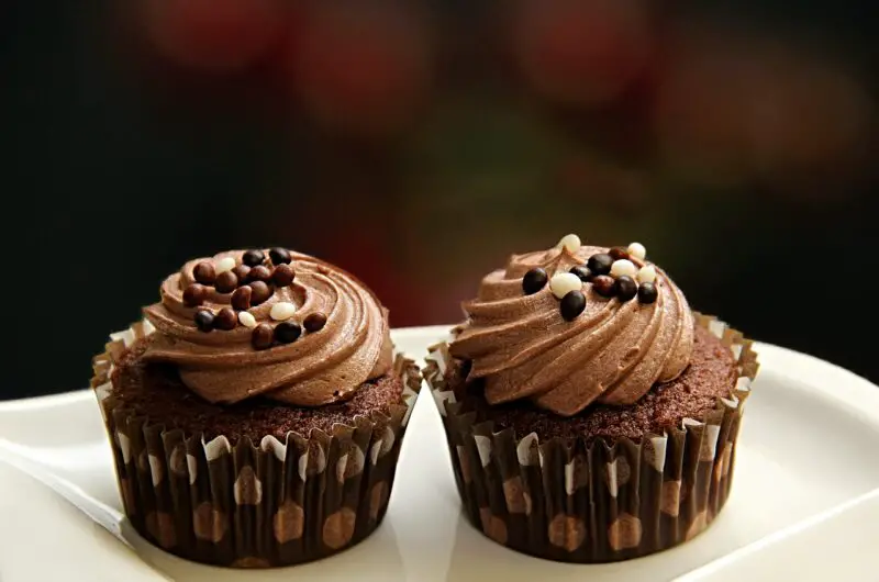 Double Chocolate Muffin Recipe