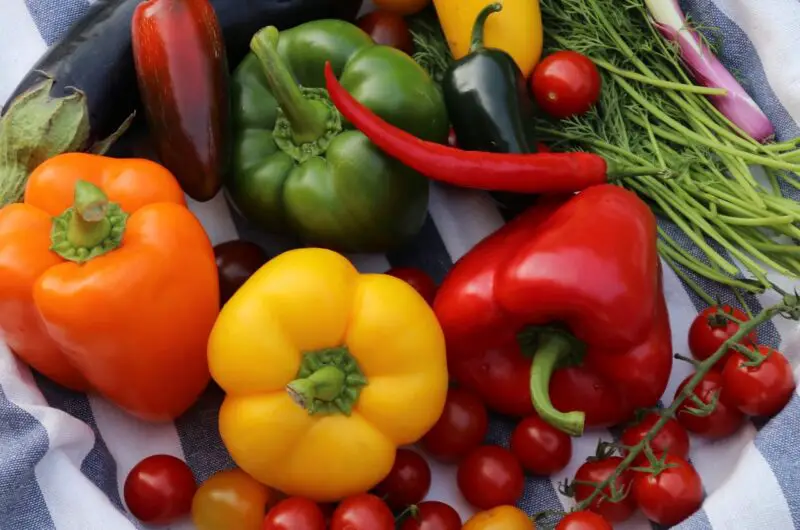 The Ultimate Vegan Grocery Shopping List