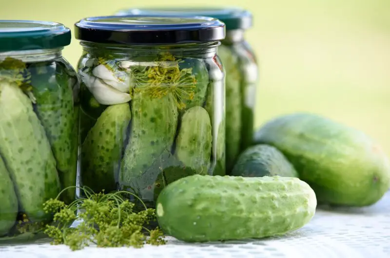 How to Make Homemade Pickles & Fermented Foods