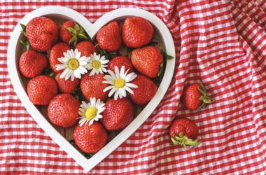 The Effects of a Vegetarian Diet on Heart Health