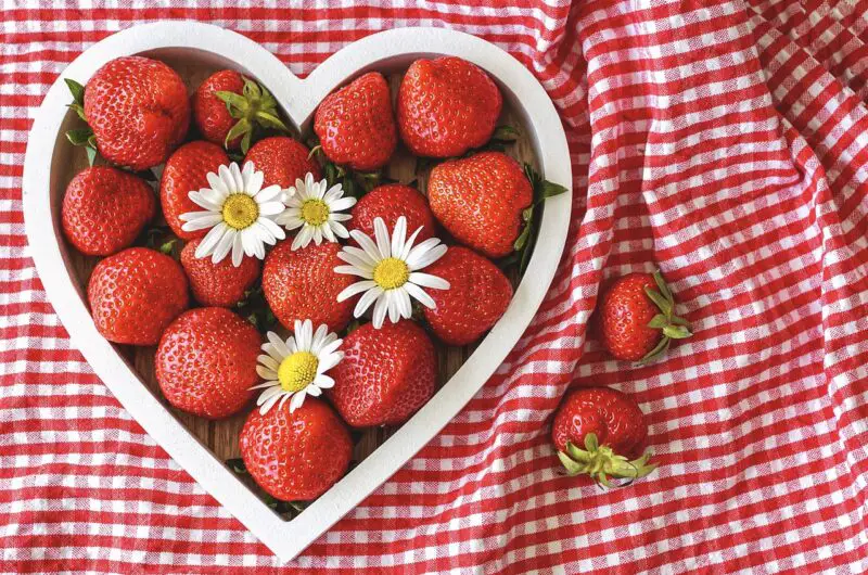 The Effects of a Vegetarian Diet on Heart Health