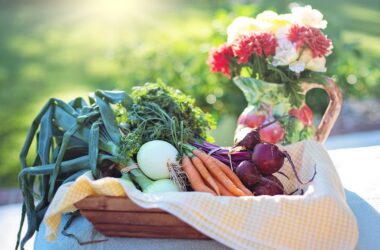 The Role of a Vegetarian Diet in Reducing Inflammation