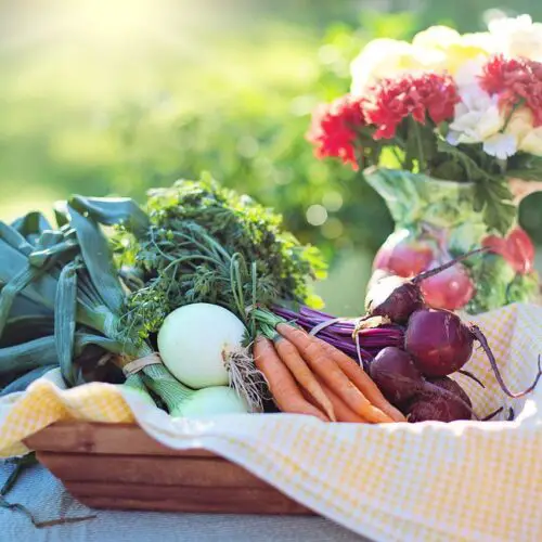 The Role of a Vegetarian Diet in Reducing Inflammation