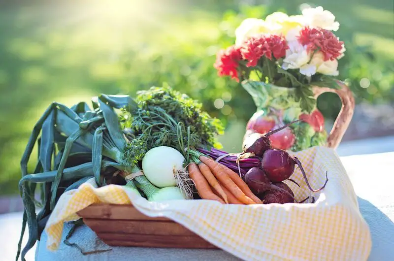 The Role of a Vegetarian Diet in Reducing Inflammation