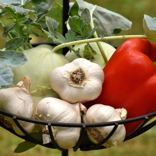 Do Vegetables Have Nicotine In Them?