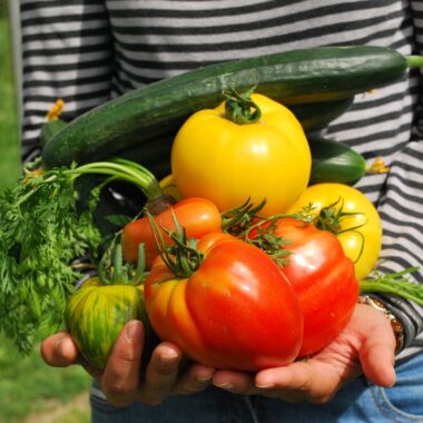 How to Grow Your Own Herbs & Vegetables at Home