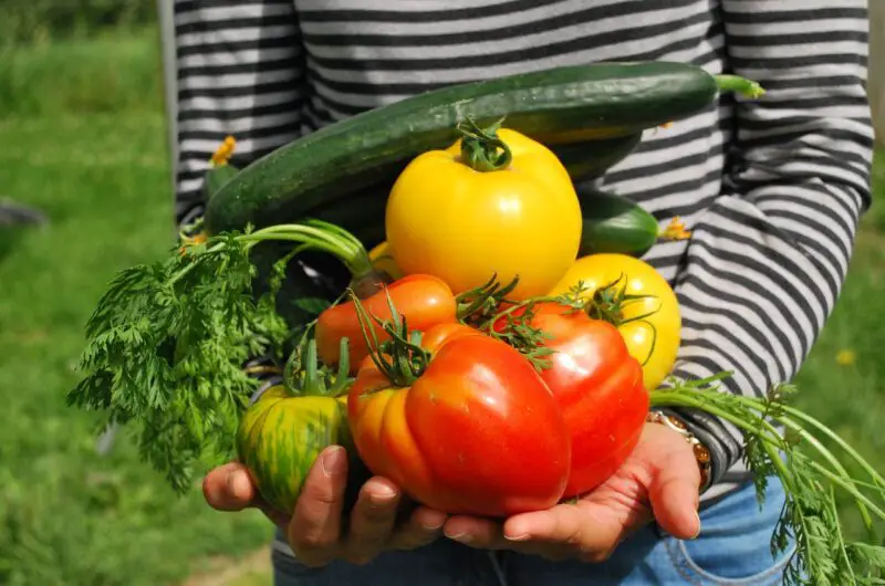 How to Grow Your Own Herbs & Vegetables at Home
