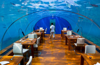The 10 Most Unique Dining Experiences You Can Have Around the World