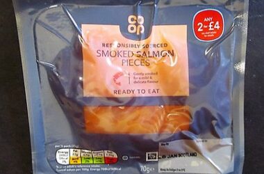 Food Packaging Innovations from Leading Companies