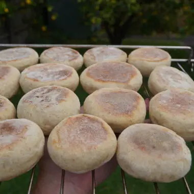 Sourdough Discard Recipes: Turning “Waste” into Culinary Gold