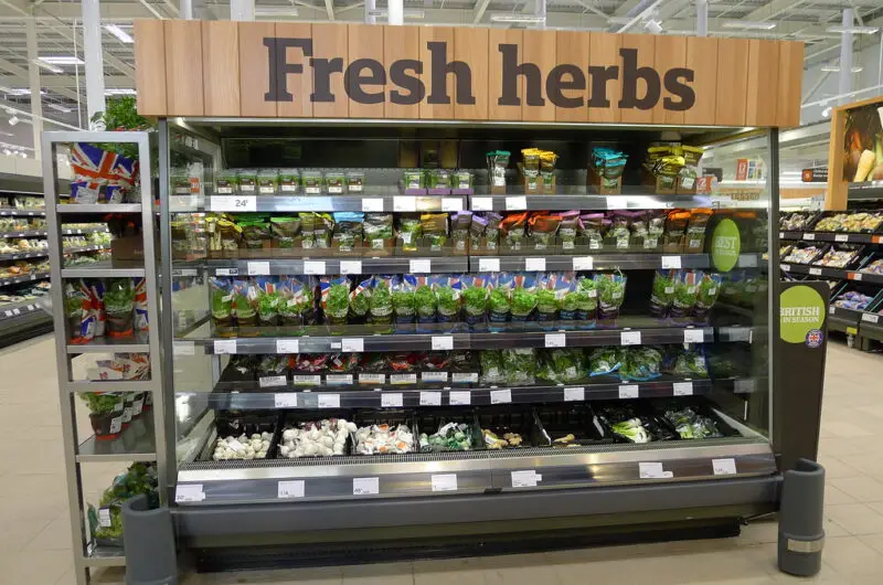 How to Store Fresh Herbs So They Last Longer (Refrigerator vs. Freezer Tips)