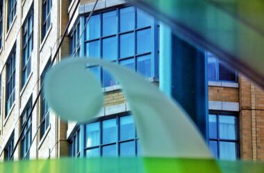 The Best Vegan Restaurants in Toronto: A Plant-Based Paradise in 2025