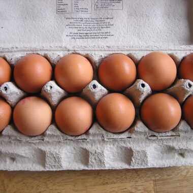 USDA Launches $1 Billion Plan to Tackle the Egg Crisis