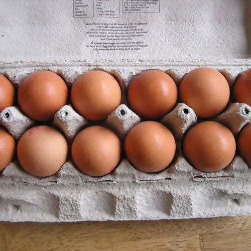 USDA Launches $1 Billion Plan to Tackle the Egg Crisis